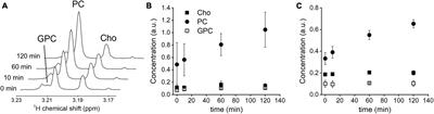 Mapping of exogenous choline uptake and metabolism in rat glioblastoma using deuterium metabolic imaging (DMI)